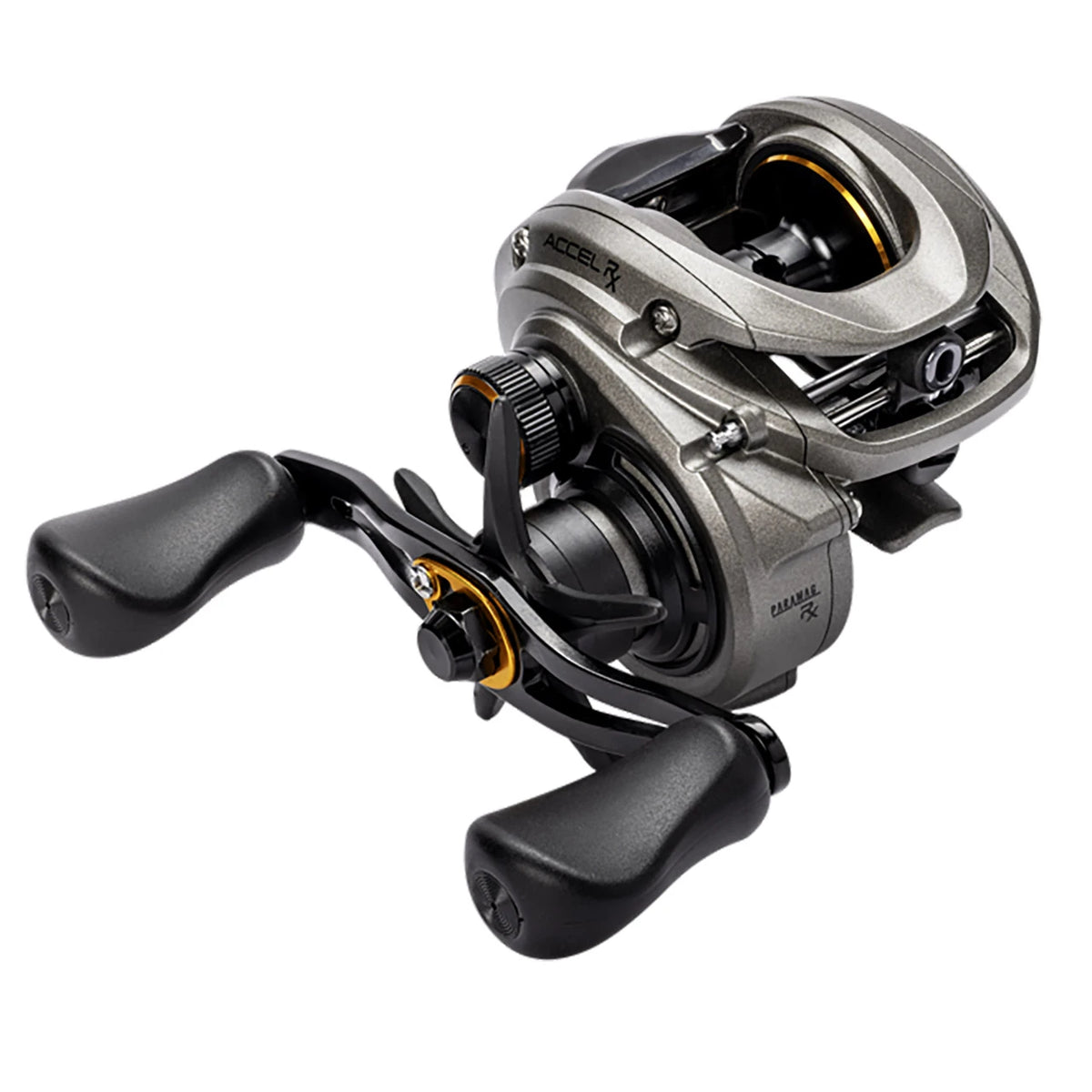 Lew's Accel RX Casting Reel
