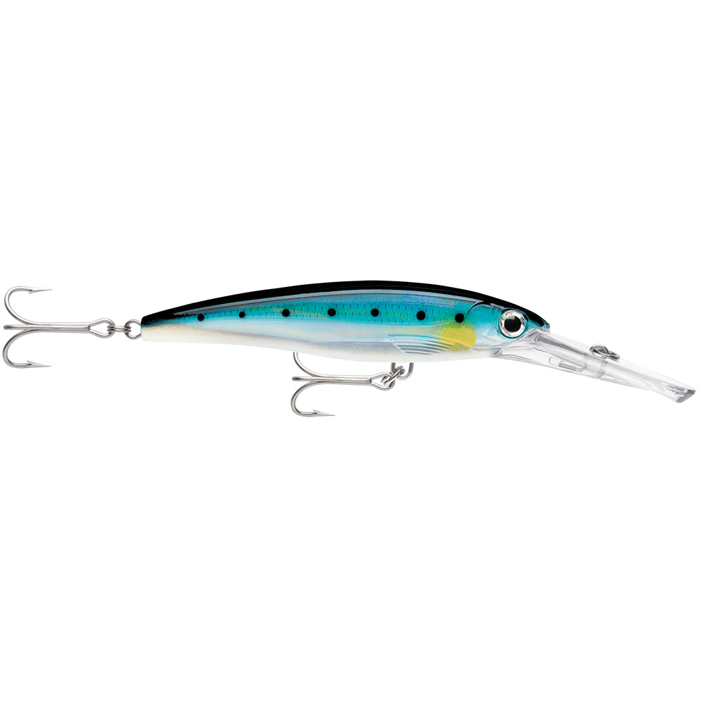 Rapala XRap Magnum 20 Sardine XRMAG20BSRD